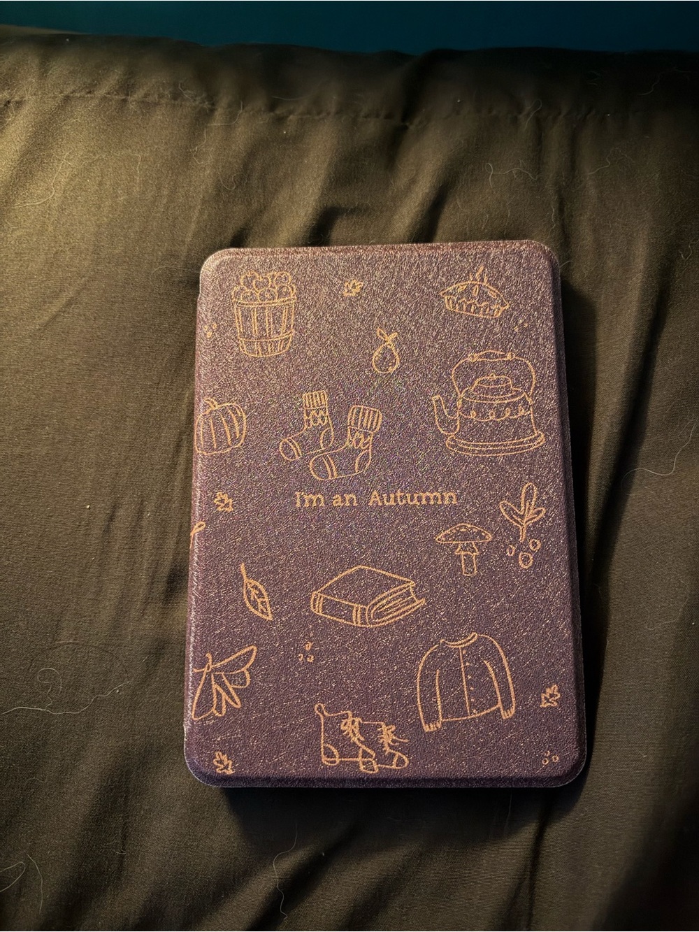 I’m an autumn Amazon kindle 2024 edition case